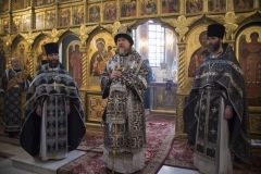 arhierey14-04-2014_07