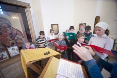 det_hor_25-10-2014_06