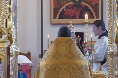 det_hor_25-10-2014_14