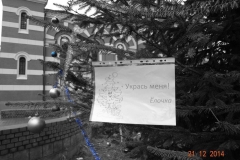 Yarmarka_21.12.2014_35