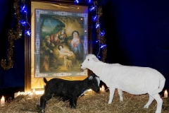 Rozhdestvo_07-01-2015_01