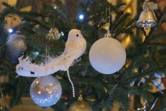 Rozhdestvo_07-01-2015_06