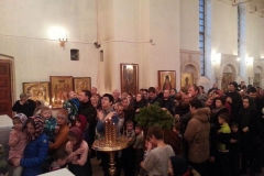 Bogoyavlenie_2015_02