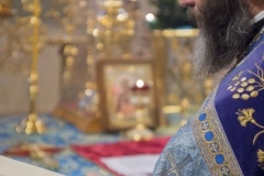 Prestolniy_prazdnik_03-02-2015_16