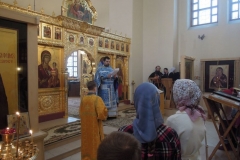 voskres_scholl_15-02-2015_03