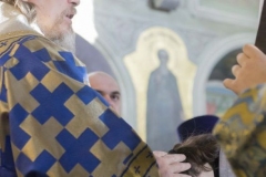 Hirotoniya_o._Aleksandr_16-02-2015_22