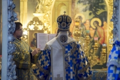 Hirotoniya_o._Aleksandr_16-02-2015_27