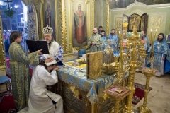 Hirotoniya_o._Aleksandr_16-02-2015_51