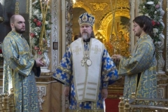 Hirotoniya_o._Aleksandr_16-02-2015_67