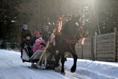 poezdka_21-02-2015_08