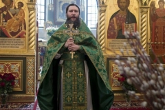 Verbnoe_Voskresenie_2015_05