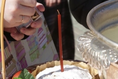 osvyachenie_kulicey_2015_06