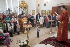 den_zheny_mironosetcy_2015_002