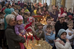 den_zheny_mironosetcy_2015_004