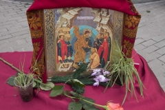 den_zheny_mironosetcy_2015_005