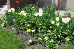 prazgnik_pobedy_09-05-2015_021