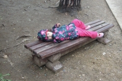 Peytlentpark_17-05-2015_44