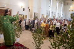 Troitca_31.05.2015_01