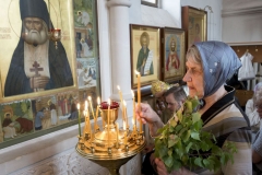 Troitca_31.05.2015_09