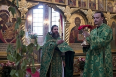 Troitca_31.05.2015_21