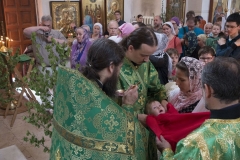 Troitca_31.05.2015_22