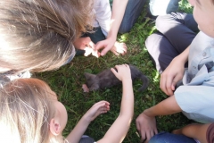 Voskres_Scool_26-09-2015_17