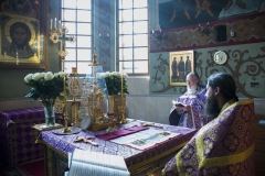 Krestovozdvizhenie-2015_03