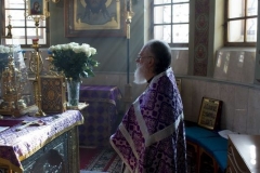 Krestovozdvizhenie-2015_04