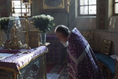 Krestovozdvizhenie-2015_05