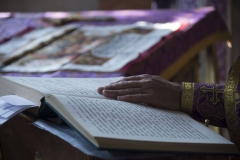 Krestovozdvizhenie-2015_14