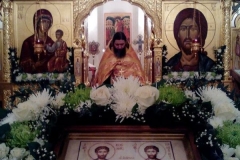 Vsenoschnoe_Kosma_13.11.2015_11