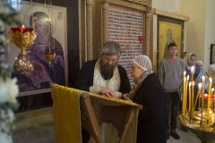 Lliturgiya_i_Krestniy_hod_Kosma_14.11.2015_07