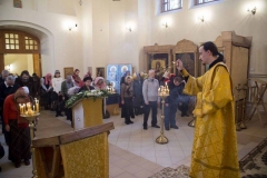 Lliturgiya_i_Krestniy_hod_Kosma_14.11.2015_09