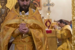 Lliturgiya_i_Krestniy_hod_Kosma_14.11.2015_12