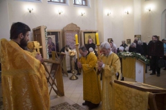 Lliturgiya_i_Krestniy_hod_Kosma_14.11.2015_14