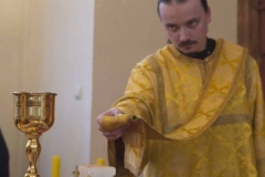 Lliturgiya_i_Krestniy_hod_Kosma_14.11.2015_17