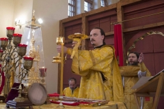 Lliturgiya_i_Krestniy_hod_Kosma_14.11.2015_18