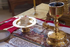 Lliturgiya_i_Krestniy_hod_Kosma_14.11.2015_19