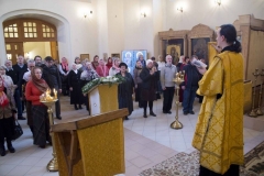 Lliturgiya_i_Krestniy_hod_Kosma_14.11.2015_20