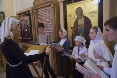 Lliturgiya_i_Krestniy_hod_Kosma_14.11.2015_22
