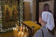 Lliturgiya_i_Krestniy_hod_Kosma_14.11.2015_24