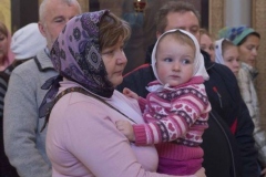 Lliturgiya_i_Krestniy_hod_Kosma_14.11.2015_26