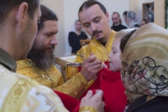 Lliturgiya_i_Krestniy_hod_Kosma_14.11.2015_29
