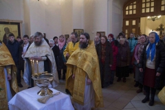 Lliturgiya_i_Krestniy_hod_Kosma_14.11.2015_40