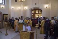 Lliturgiya_i_Krestniy_hod_Kosma_14.11.2015_41