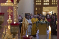 Lliturgiya_i_Krestniy_hod_Kosma_14.11.2015_42