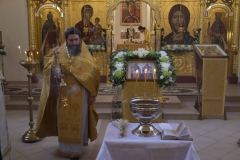 Lliturgiya_i_Krestniy_hod_Kosma_14.11.2015_43