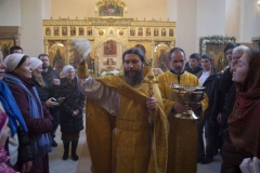 Lliturgiya_i_Krestniy_hod_Kosma_14.11.2015_47
