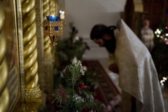 Rozhdestvo_2016_67