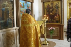 Moleben_Vsecarice_na_Verbnoe_Voskresenie_24.04.2016_001